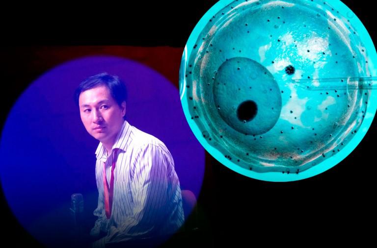 embrion-prueba-2-2-768x506