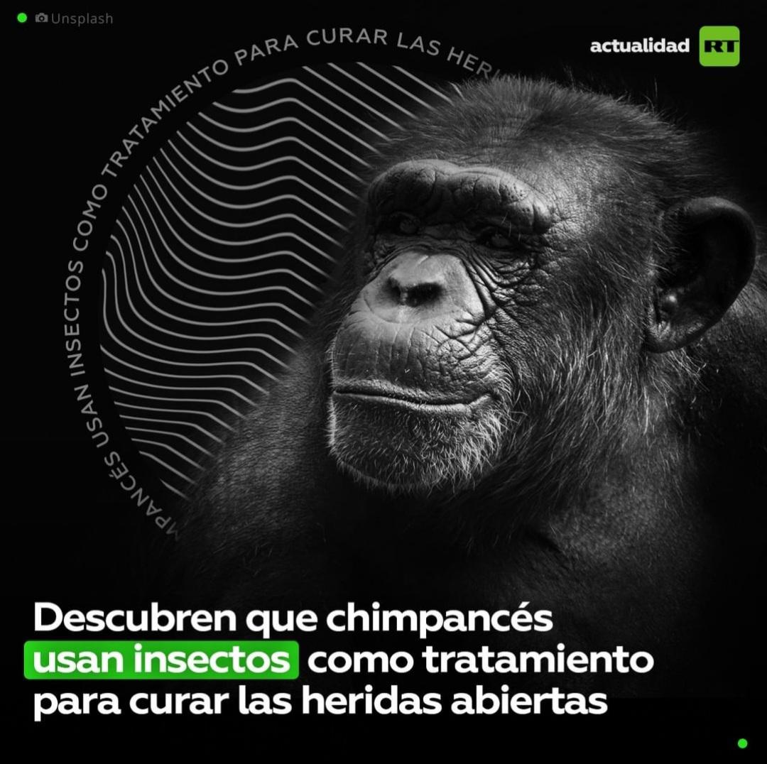 Screenshot_20220209-153452_Chrome